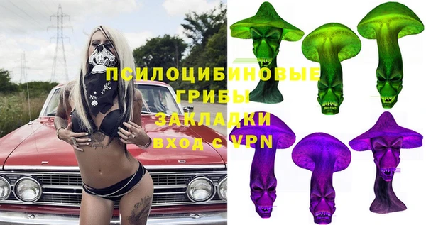 apvp Медногорск