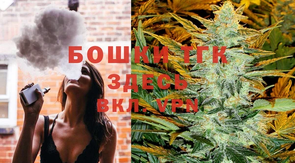 индика Михайловка