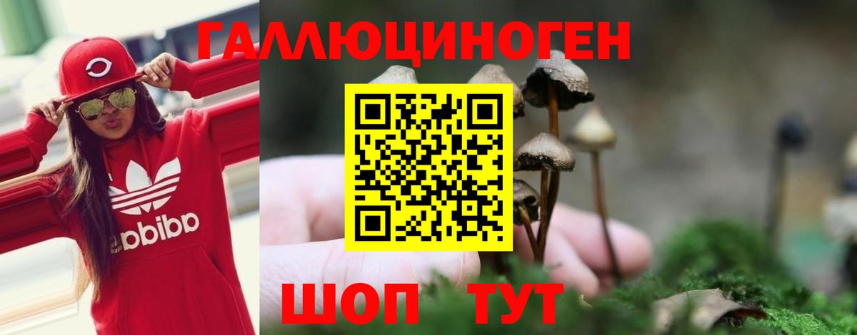 Галлюциногенные грибы мицелий  Вход с VPN  Смоленск 